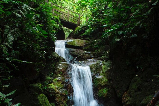 El Burrito Hike From La Fortuna (Feb ) - Hike Highlights