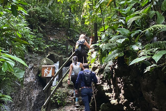 El Burrito Hike From La Fortuna (Feb ) - Inclusions and Logistics