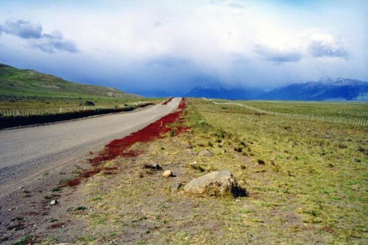 El Calafate City Tour and Walichu Caves - Activity Details