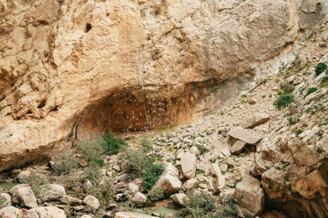 El Chorro: Caminito Del Rey Guided Tour With Shuttle Bus - Review Summary