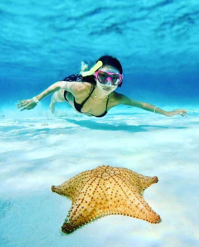 El Cielo and El Cielito in Cozumel with Beach Club, Food, and Open Bar - What Makes the El Cielo and El Cielito Tour Stand Out?