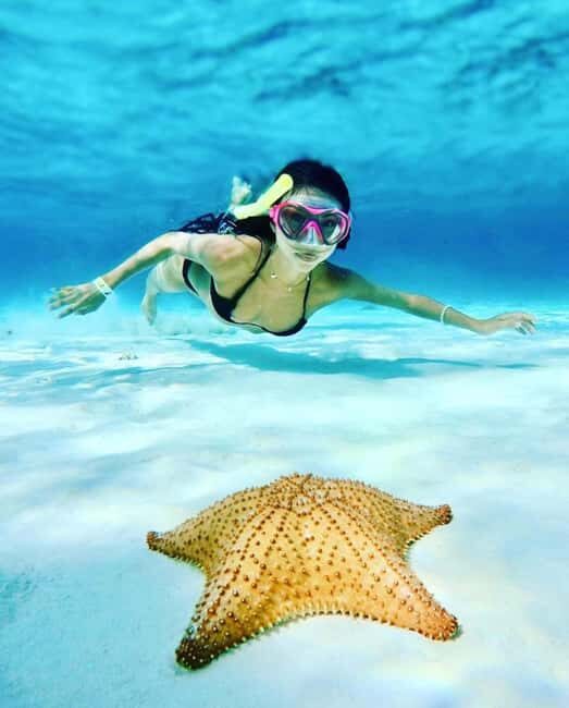 El Cielo and El Cielito in Cozumel with Beach Club, Food, and Open Bar - The Itinerary: What You Can Expect