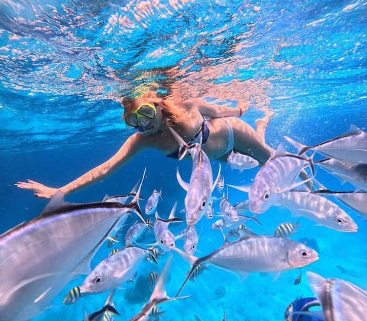 El Cielo and El Cielito in Cozumel with Beach Club, Food, and Open Bar - FAQ