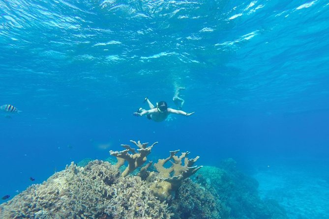 El Cielo and Snorkel Private Excursion - Cancellation Policy