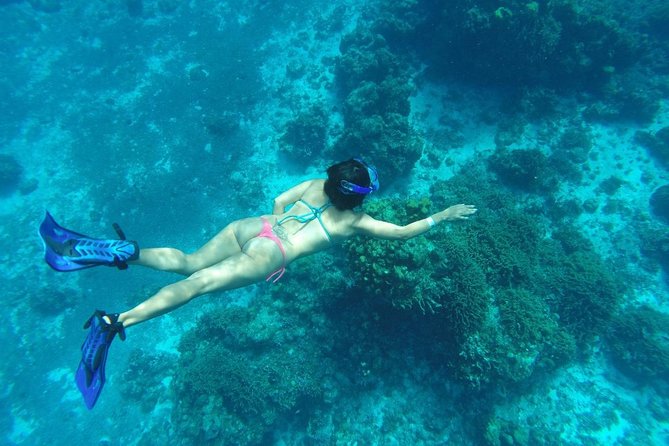 El Cielo and Snorkel Private Excursion - Directions