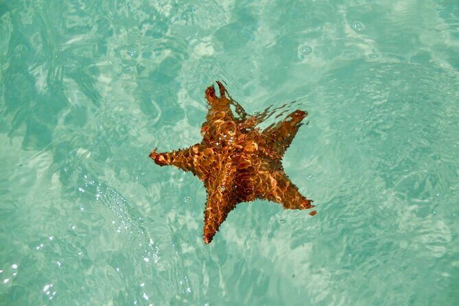 El cielo Cozumel From Cancún and round Transfer with Lunch - A Closer Look at the Itinerary and Experience