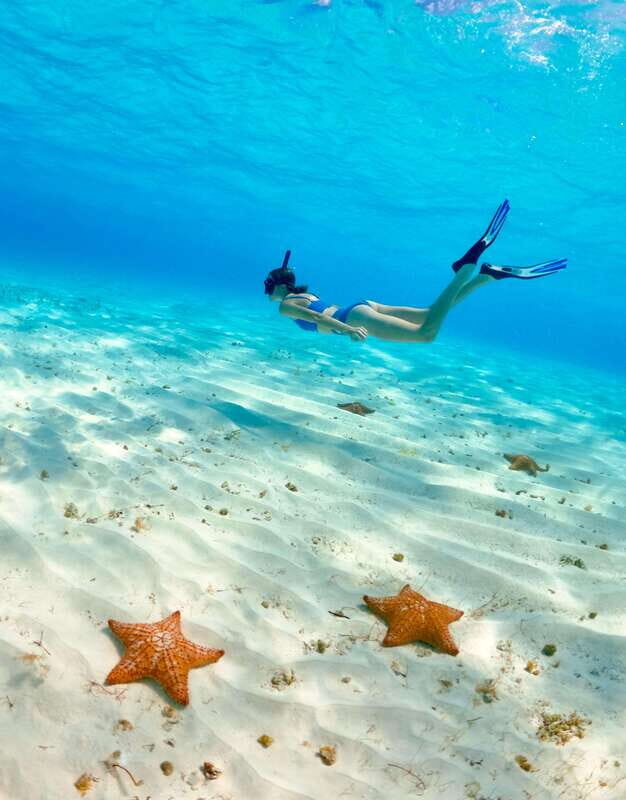 El Cielo Cozumel private snorkel tour - Inclusions and Extras