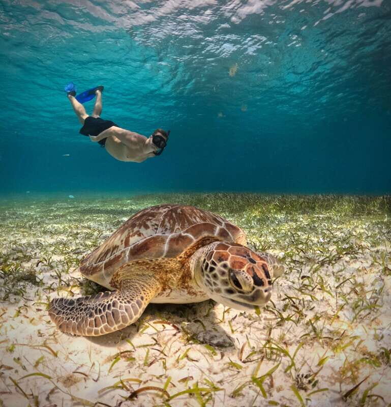 El Cielo Cozumel private snorkel tour - The Value of a Private Snorkel Tour