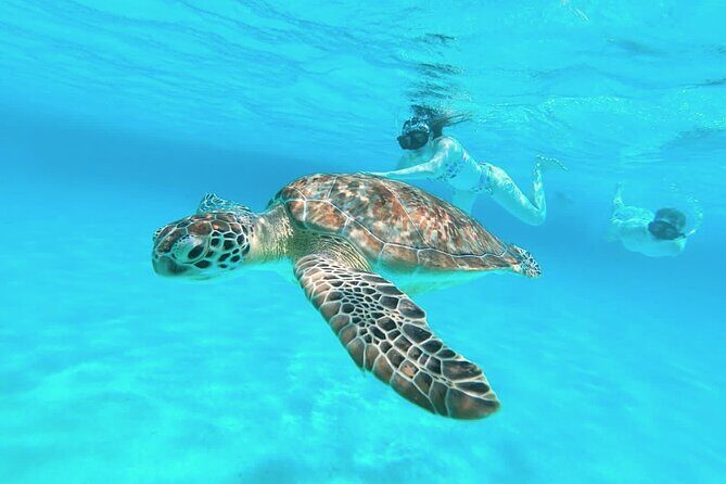 El Cielo Cozumel Snorkel Private Boat + Food + Drinks + Beach - An In-Depth Look at the Tour Experience