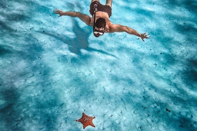 El Cielo Snorkeling Adventure in Cozumel - Overview of the Snorkeling Tour