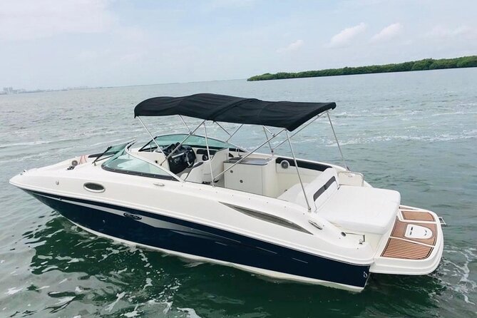 El Cielo Snorkeling by Private Boat and Lunch - Snorkeling Equipment and Open Bar