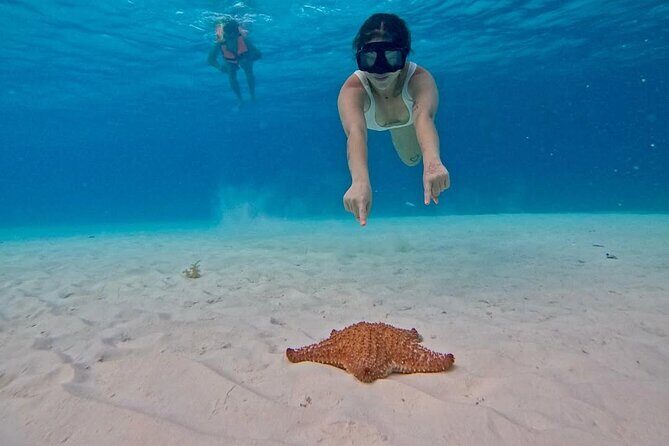 El Cielo Snorkeling Tour and The Top Reefs of Cozumel - Detailed Breakdown of the Experience