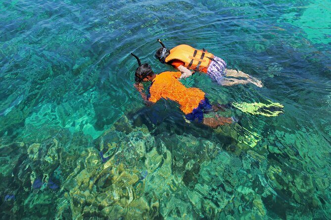 El Cielo the Breathtaking Snorkel Tour of Cozumel Cielito Beach & Lunch Included - Who is This Tour Best For?