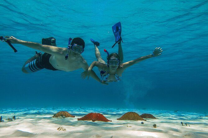 El Cielo the Breathtaking Snorkel Tour of Cozumel Cielito Beach & Lunch Included - Frequently Asked Questions