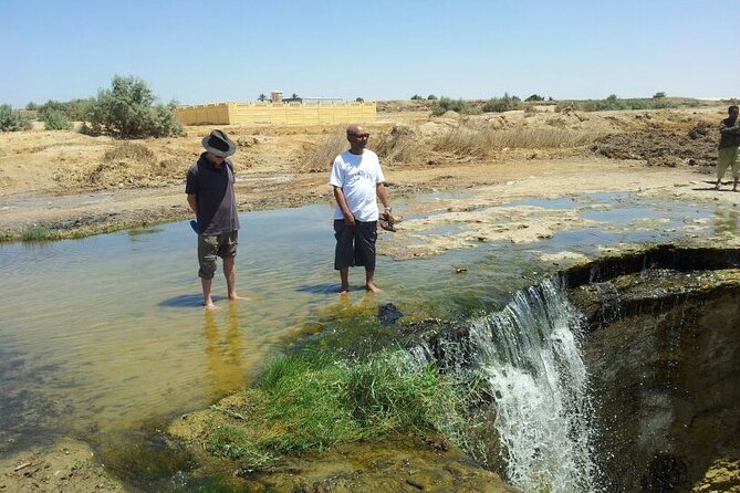 El-Fayoum Oasis & Wadi Al-Rayan Day Tour From Cairo - Discover Wadi Al-Rayan