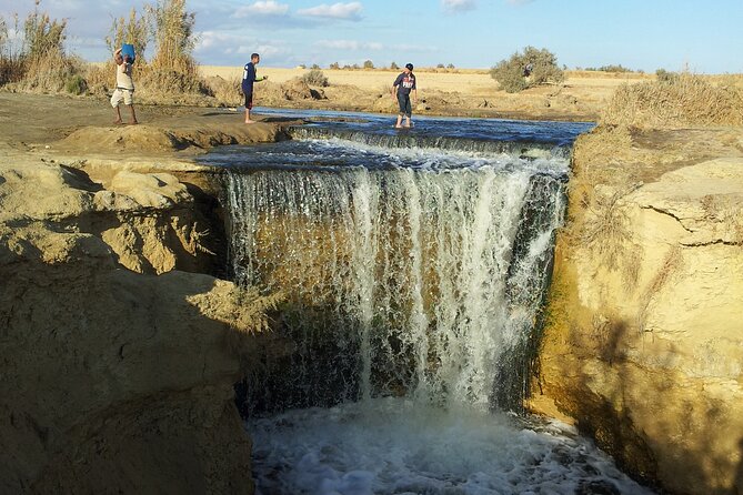 El-Fayoum Oasis & Wadi Al-Rayan Day Tour From Cairo - Transportation Details