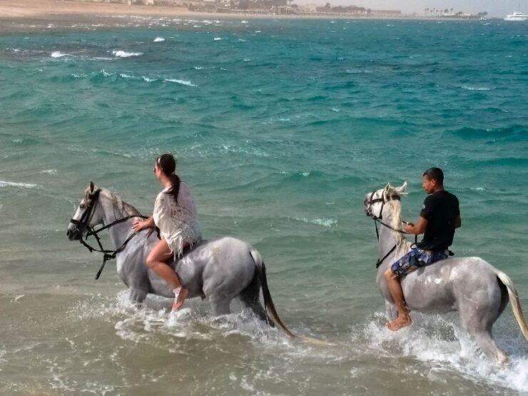 El Gouna: Desert & Sea Horse Riding With Swimming Optional - Activity Details