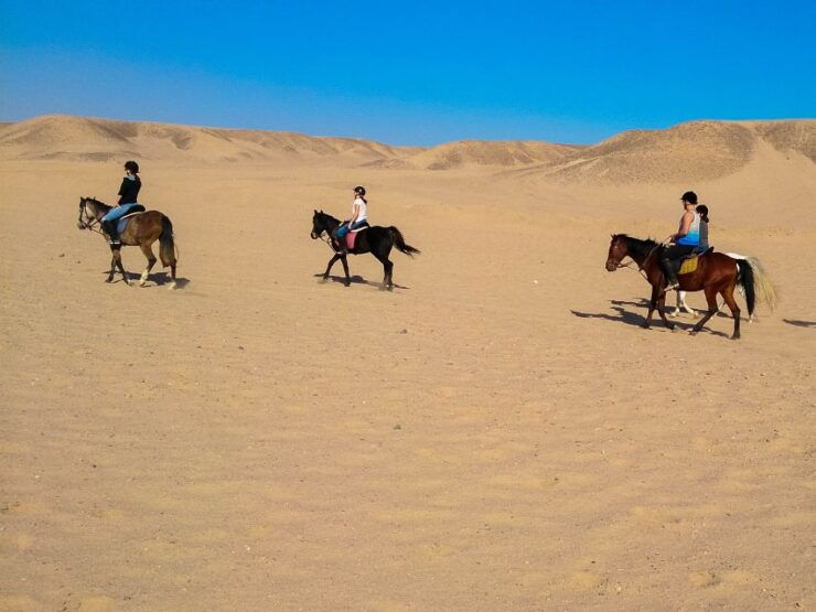 El Gouna: Desert & Sea Horse Riding With Swimming Optional - Experience the Desert and Sea