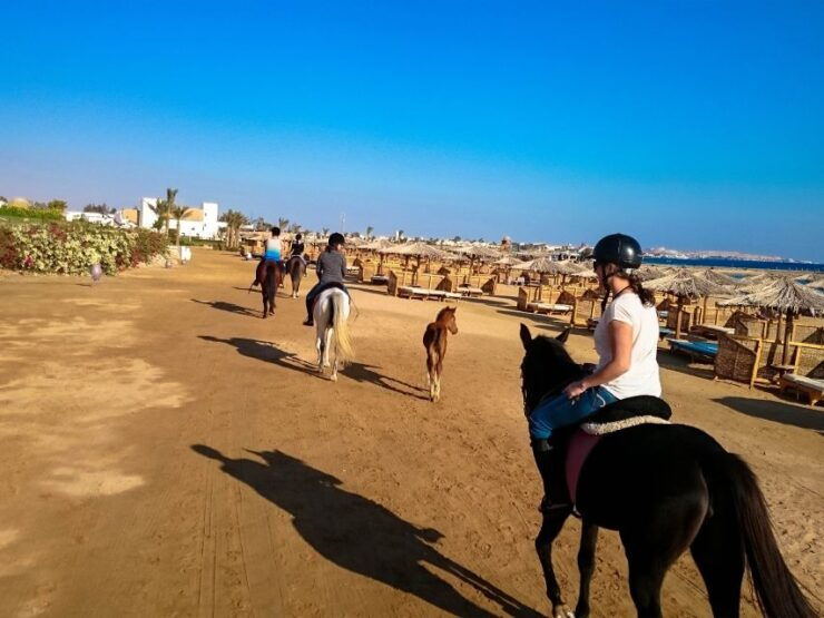 El Gouna: Desert & Sea Horse Riding With Swimming Optional - Activity Details