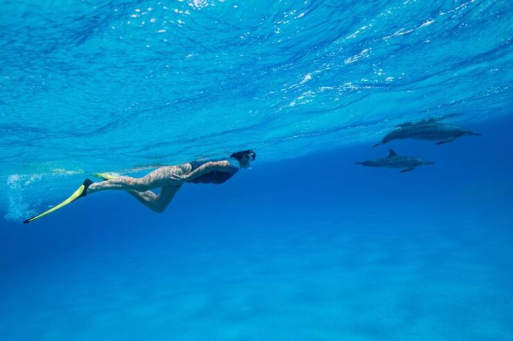El Gouna: Dolphin Watching Boat Tour With Snorkeling & Lunch - Activity Details