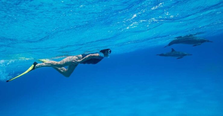 El Gouna: Dolphin Watching Boat Tour With Snorkeling & Lunch - Tour Itinerary Overview