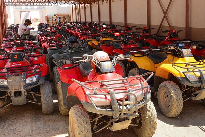 El Gouna Morning Quad Bike Safari - Good To Know