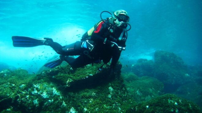 El Hierro: Skin Diving PADI Experience - Frequently Asked Questions