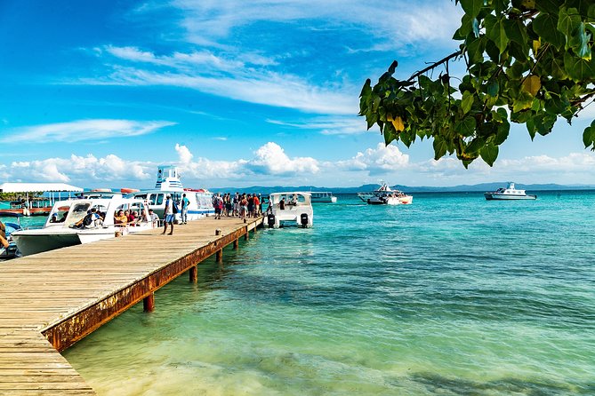 El Limon Waterfall and Bacardi Island Tour From Punta Cana With Lunch Included - Safety Precautions