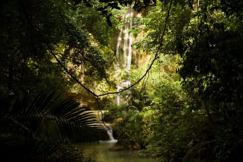 El Limón: Waterfall Hiking Tour with Lunch - A Closer Look at the Itinerary and Experience