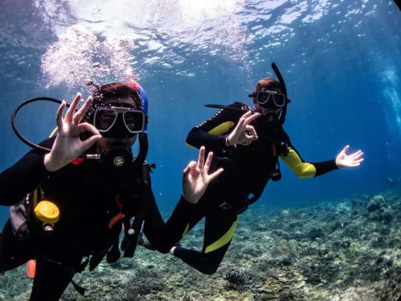 El Nido: Deep Blue Dive Seafari Experience - Good To Know