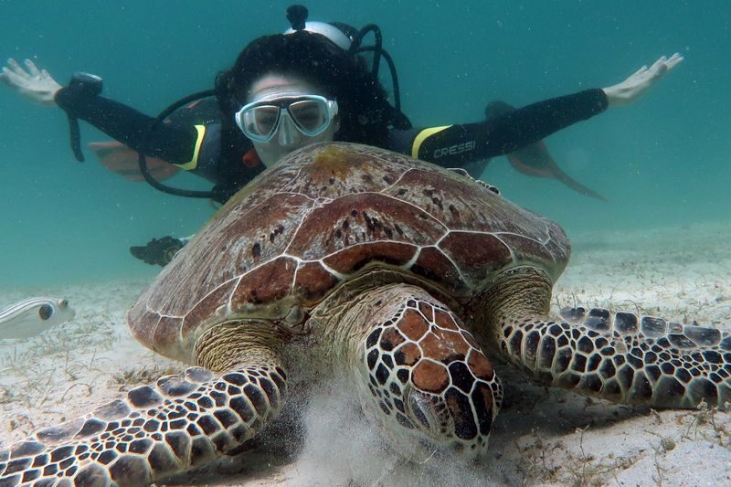 El Nido Discover Scuba Diving in Palawan - What the price covers, and what it doesn’t