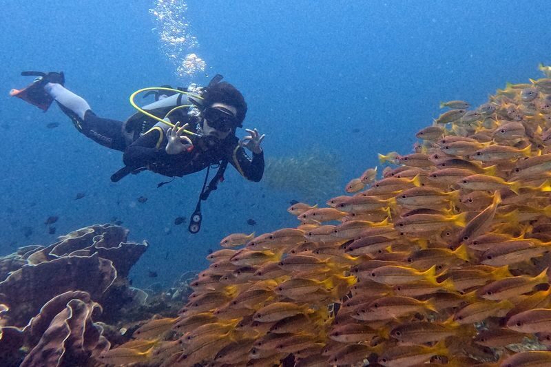 El Nido Discover Scuba Diving in Palawan - Who will enjoy this most