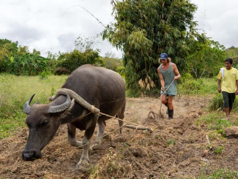 El Nido: Farm Tour, Snorkeling, Dinner, and Nipa Hut Stay - Exploring Sibaltan: A Genuine Filipino Village  