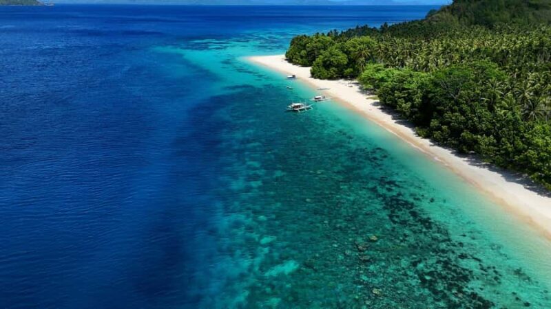 El Nido: Farm Tour, Snorkeling, Dinner, and Nipa Hut Stay - Evening Delights: Culture, Food, and Festivities  