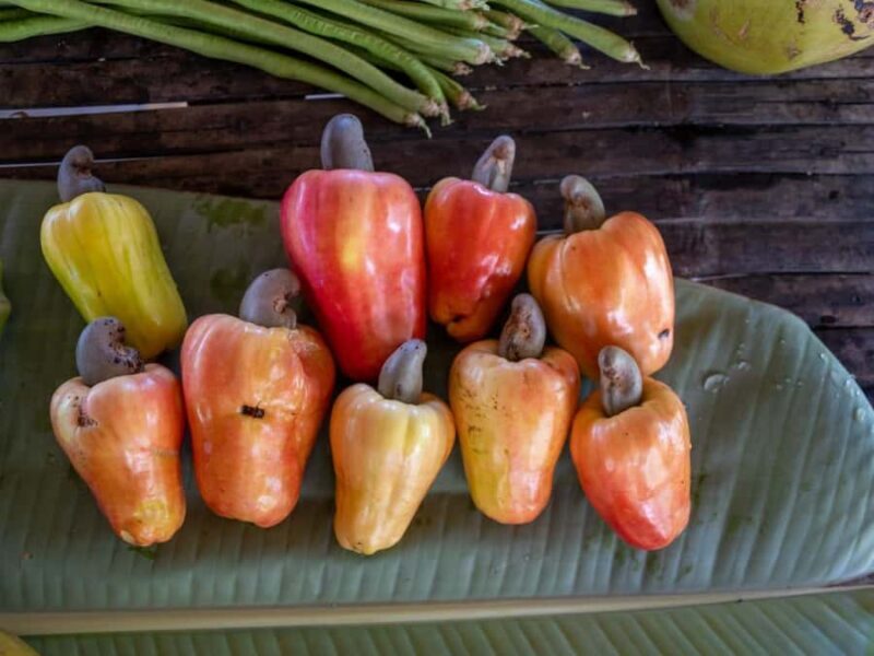 El Nido: Farm Tour, Snorkeling, Dinner, and Nipa Hut Stay - Why This Tour Is a Great Choice  