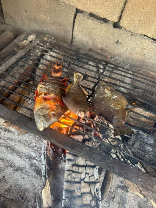 El Nido: Fishing & Snorkeling on a Private Island - An Introduction to the Tour Experience