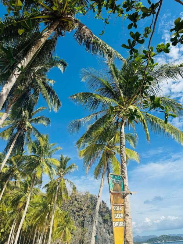 El Nido: Island Hopping TOUR A with Lunch, Transfer & EDTF - Practical Tips for Making the Most of Your Tour