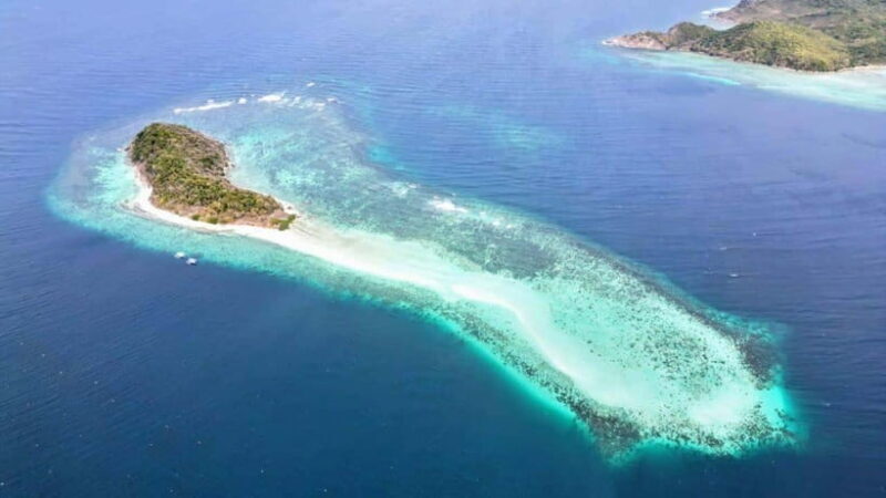 El Nido: Manta Ray Diving Experience in Sibaltan - Practical Tips for Making the Most of Your Trip