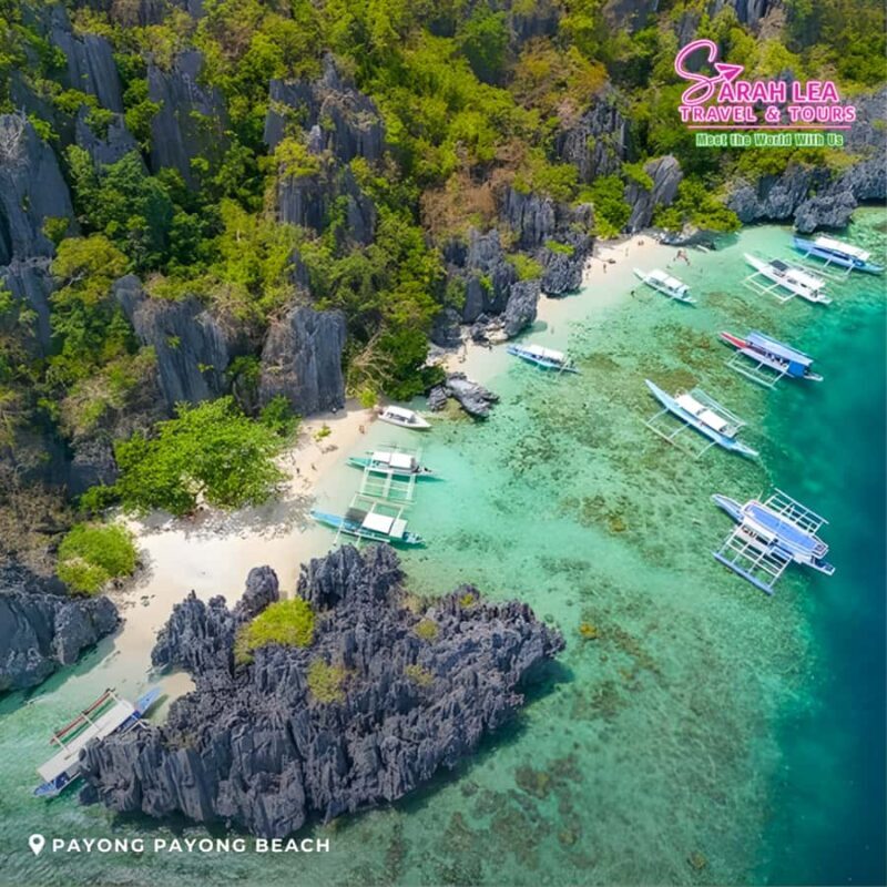 El Nido: Premium Adventure Island Hopping Cruise - What Makes This Tour Special?
