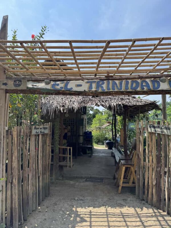 El Nido, Sibaltan: Local Organic Farm Tour & Product Tasting - Good To Know