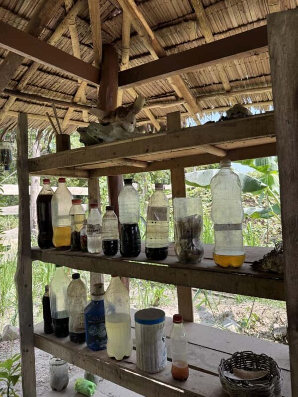 El Nido, Sibaltan: Local Organic Farm Tour & Product Tasting - Good To Know