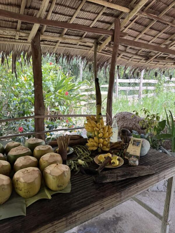 El Nido, Sibaltan: Local Organic Farm Tour & Product Tasting - Who Will Love This Experience