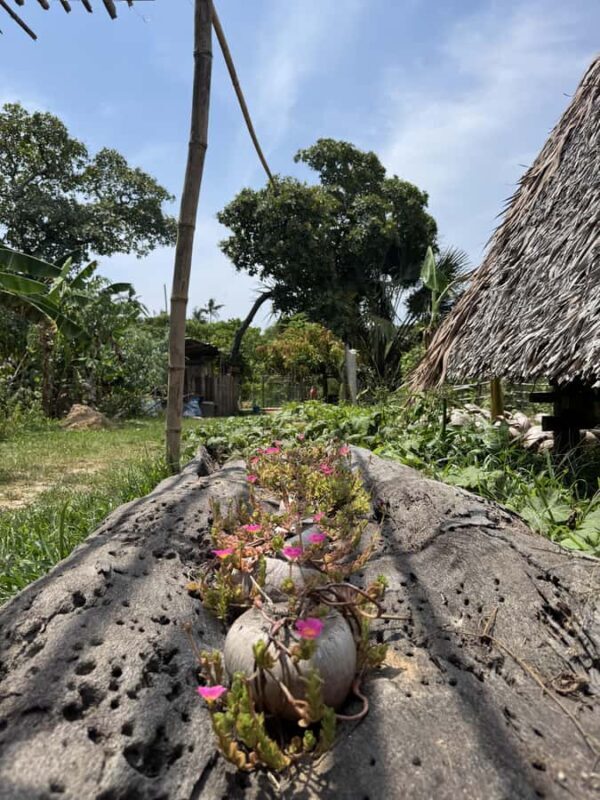 El Nido, Sibaltan: Local Organic Farm Tour & Product Tasting - FAQs