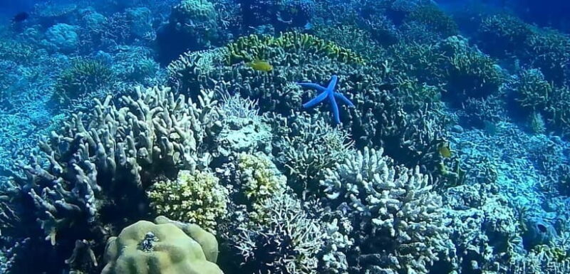 El Nido, Sibaltan: Private Snorkeling & Secret Islands Tour - Final Words: Is This Tour for You?  