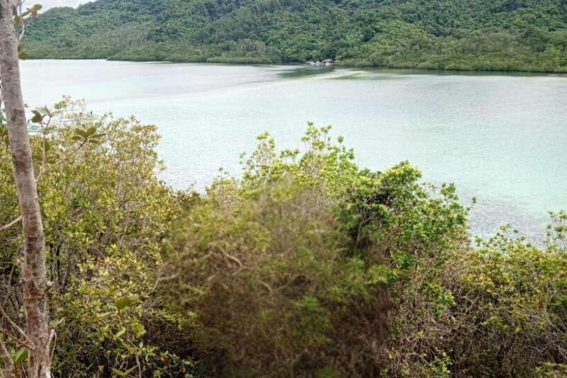 El Nido: Tour B with Snake Island, Cudugnon Cave, and More - Practical Details That Matter