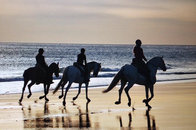 El Palmar Beach Horse Riding  - Andalucia - What to Expect