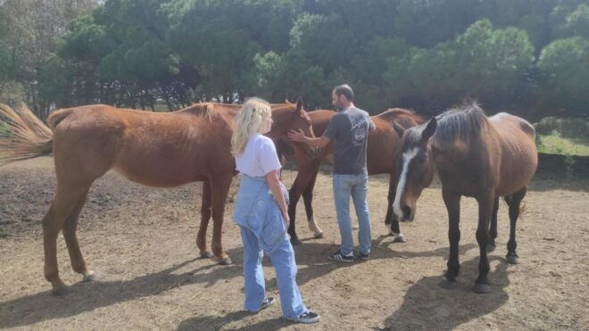 El Palmar: Reconnect Thanks to Horse Coaching - Directions