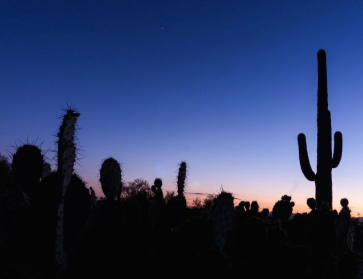 El Paso: Sun City Ghost Walking Tour - Activity Details