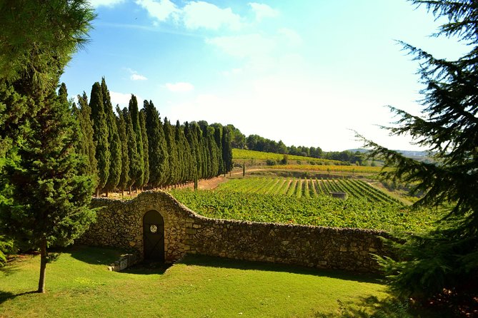 El Penedès Hike & Wine. Premium Small Group Tour From Barcelona - Tour Highlights