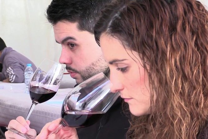 El Penedès Hike & Wine. Premium Small Group Tour From Barcelona - Wine Tasting Experience